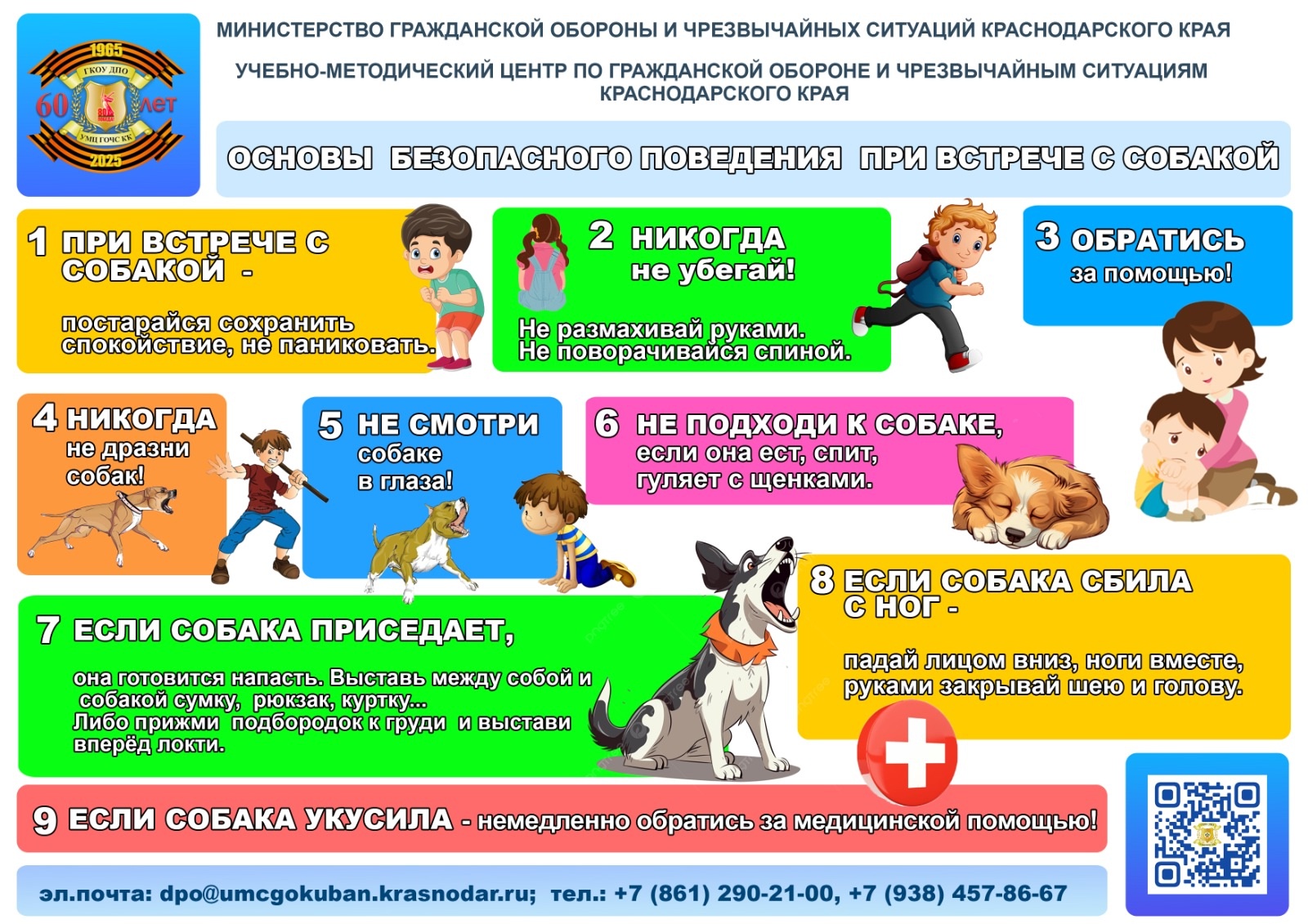 ПБ привстрече с собакой