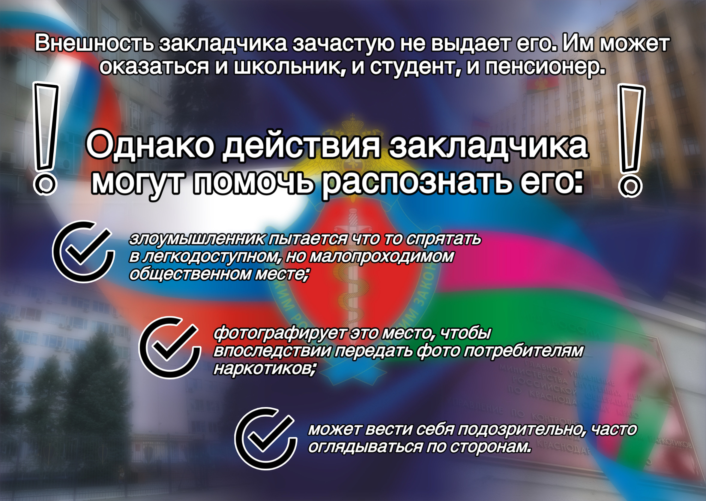 Внешность